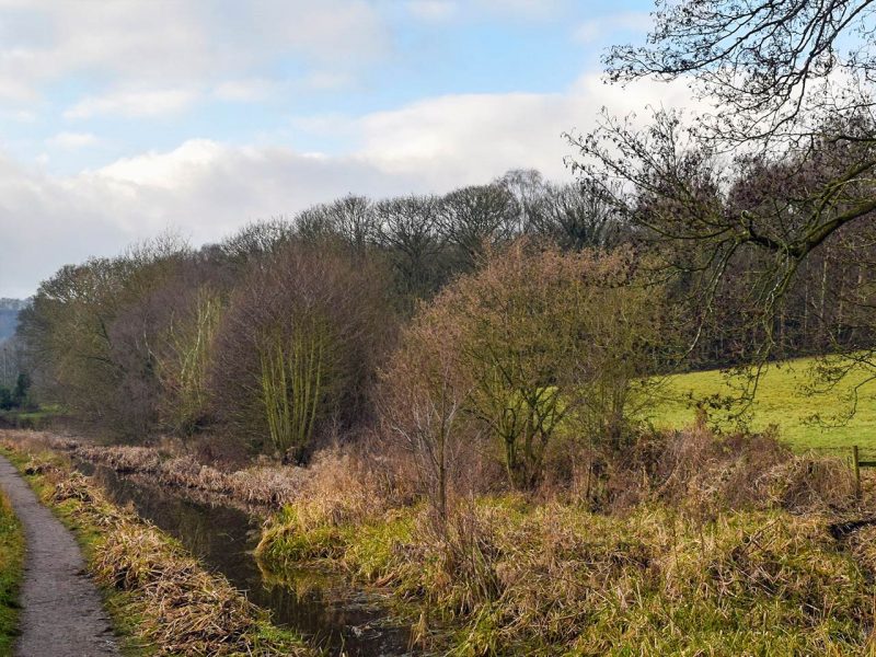 Walking 45 miles in aid of Mind